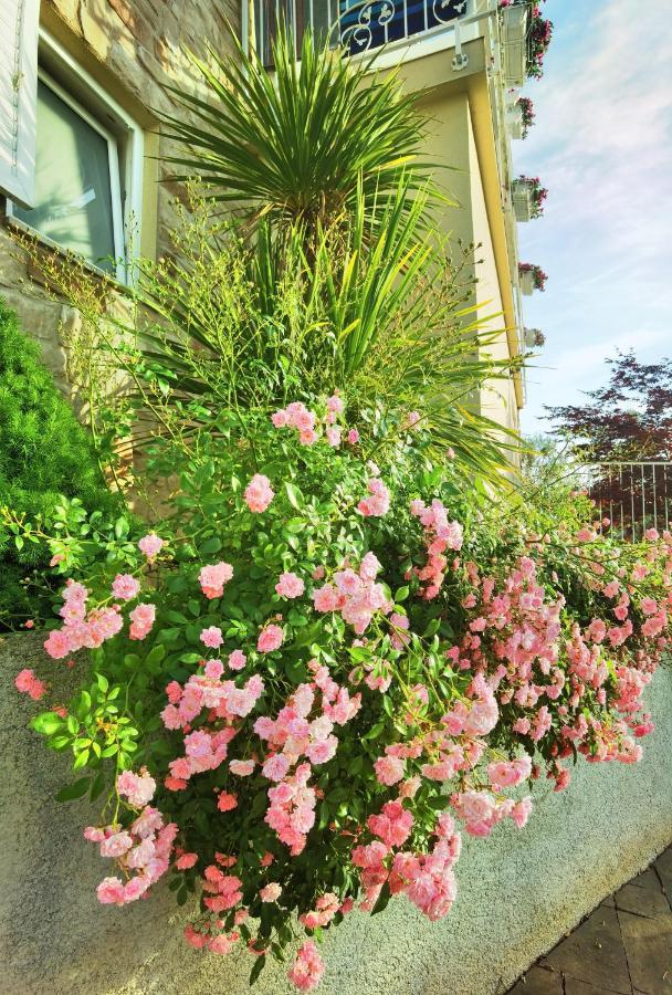 מאלינסקה Guesthouse Olei מראה חיצוני תמונה