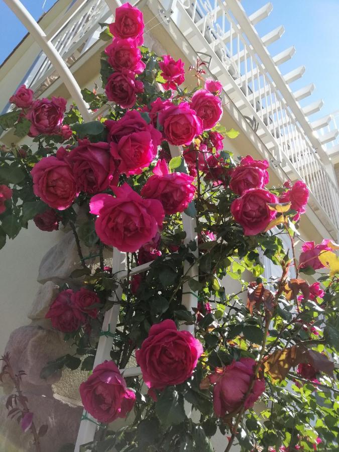 מאלינסקה Guesthouse Olei מראה חיצוני תמונה
